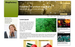 cgt-cc_1024 x -